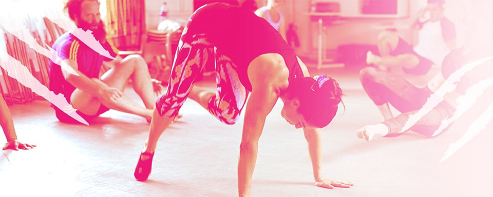 animal flow class_WR1